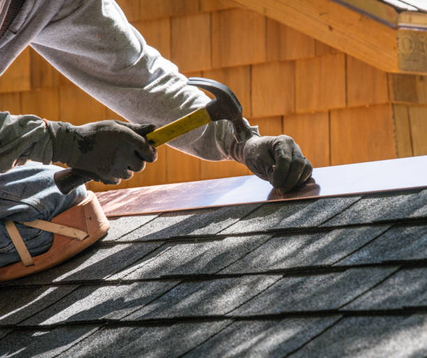 Best Roof Gutter Cleaning  in Duvall, WA